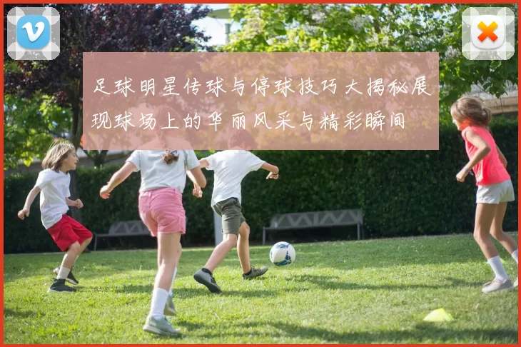 足球明星传球与停球技巧大揭秘展现球场上的华丽风采与精彩瞬间