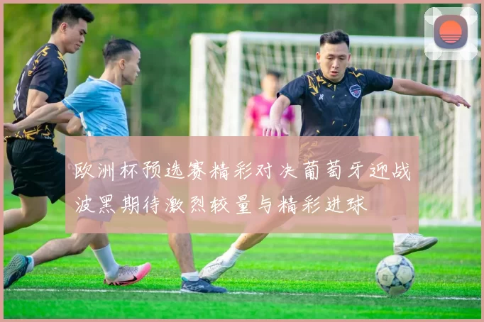 欧洲杯预选赛精彩对决葡萄牙迎战波黑期待激烈较量与精彩进球