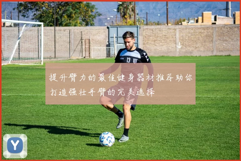 提升臂力的最佳健身器材推荐助你打造强壮手臂的完美选择